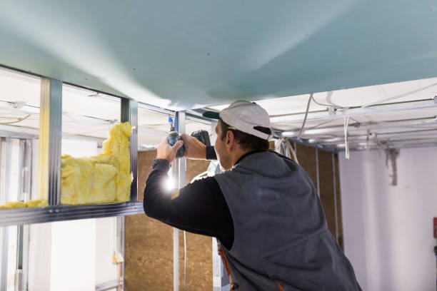 Best Residential Insulation in Aetna Estates, CO