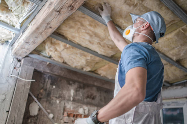 Best Insulation for Specific Applications in Aetna Estates, CO