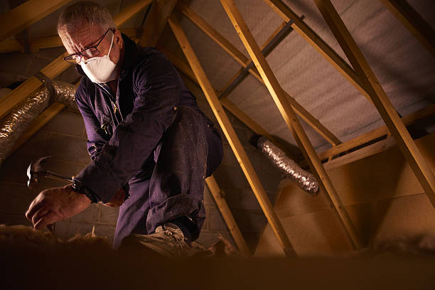 Best Commercial Insulation in Aetna Estates, CO