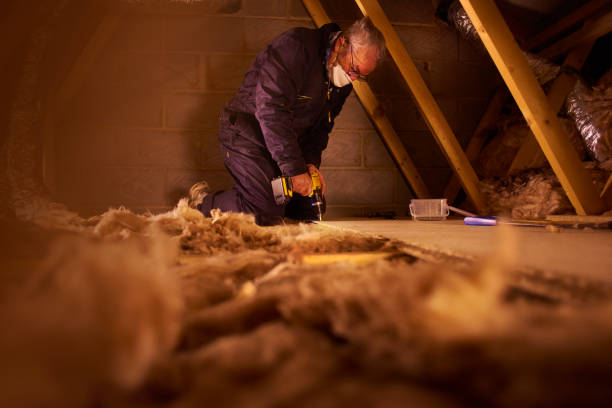 Best Insulation Materials and Products in Aetna Estates, CO